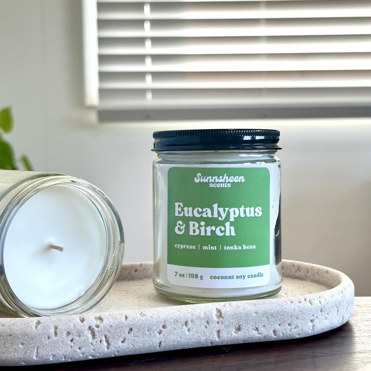 Eucalyptus Leaves | 7 oz Candle