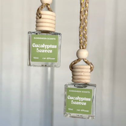 Eucalyptus Leaves | Car Diffuser