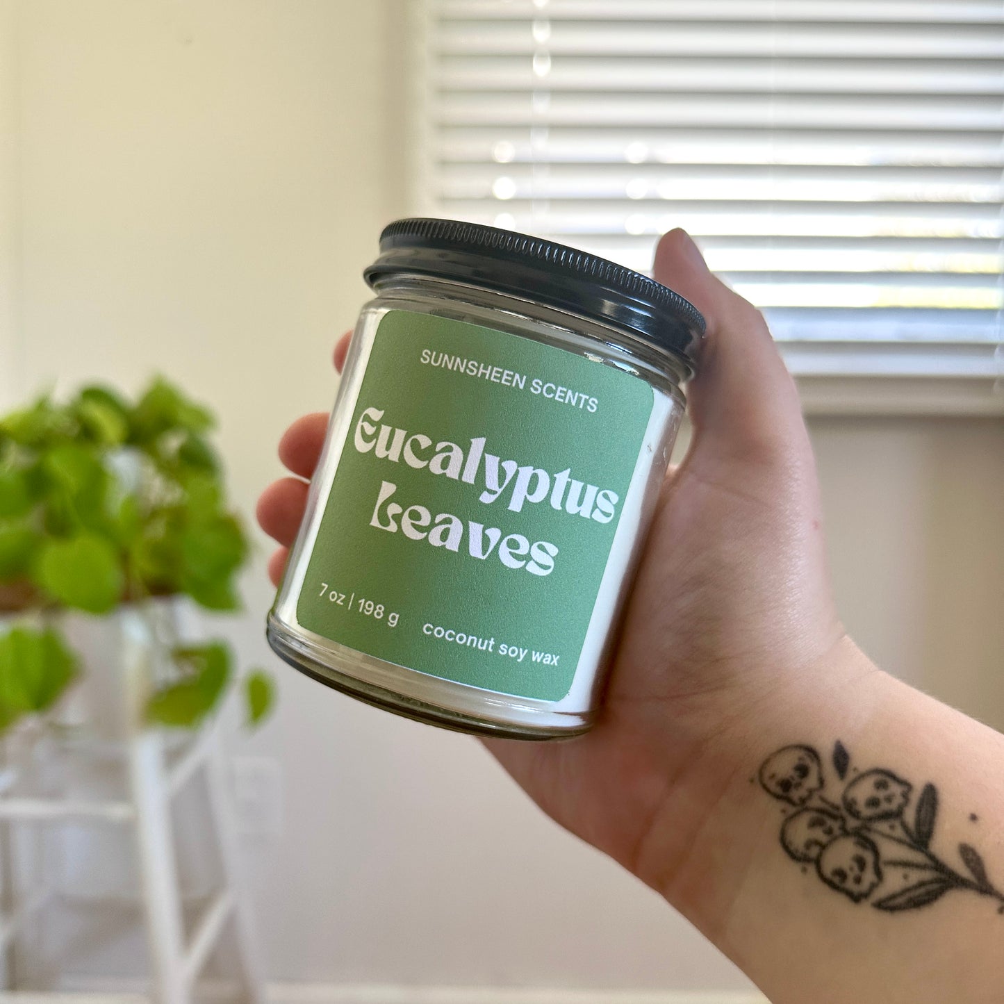 Eucalyptus Leaves | 7 oz Candle