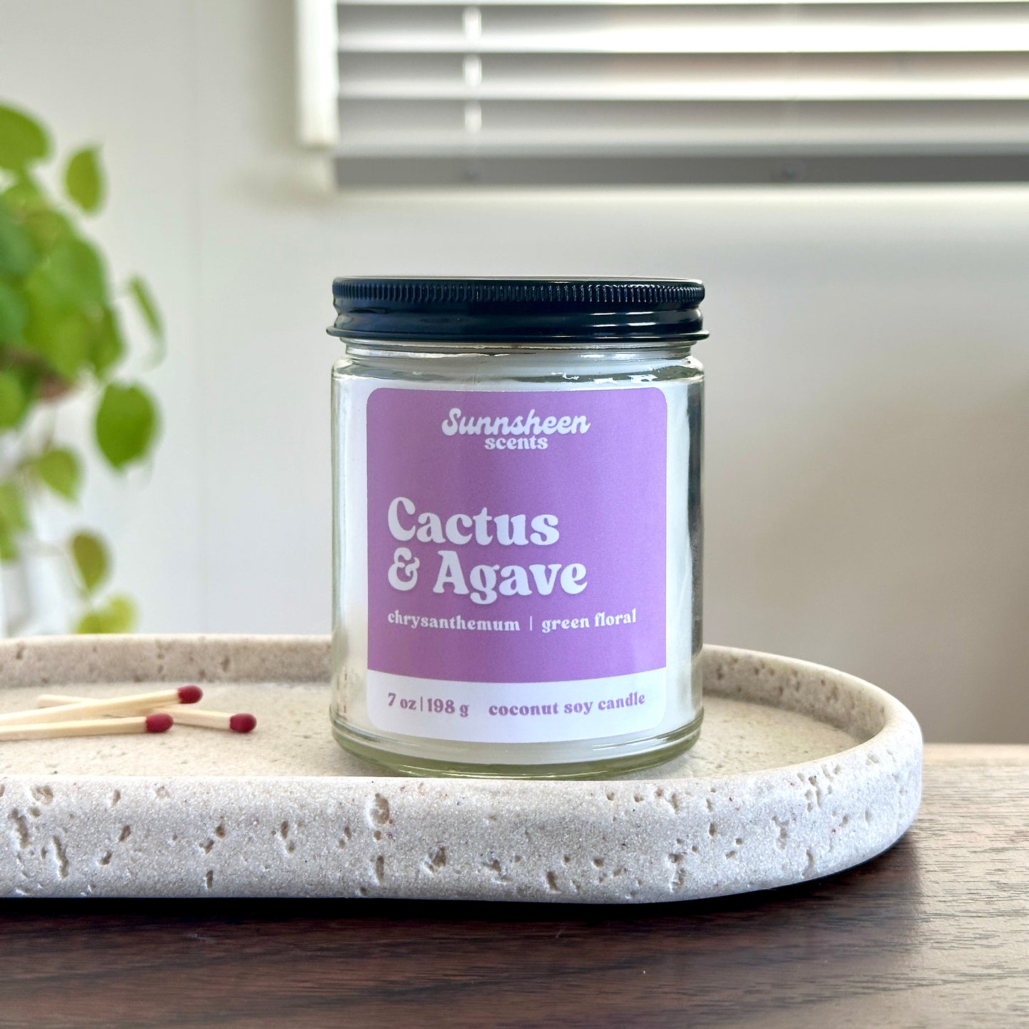 Cactus & Agave | 7 oz Candle